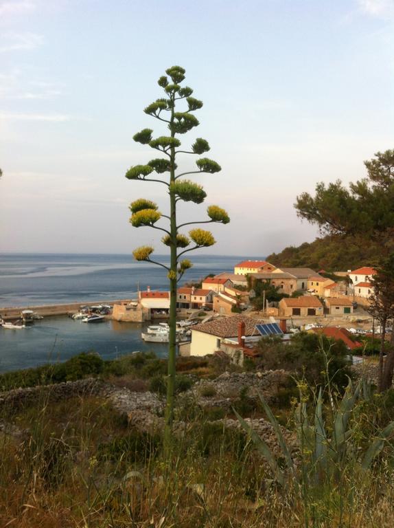 Katja Mali Losinj